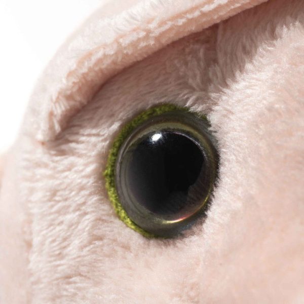 462d8f6e-aa55-4a1c-9837-d574482476ac_720x 462d8f6e-aa55-4a1c-9837-d574482476ac_720x