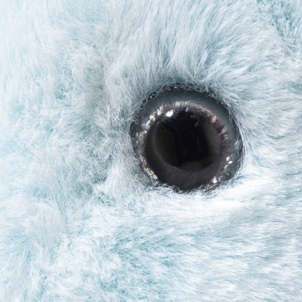 53c610d4-9fea-4d87-9987-9ab7bf8bc110_720x-1 53c610d4-9fea-4d87-9987-9ab7bf8bc110_720x-1