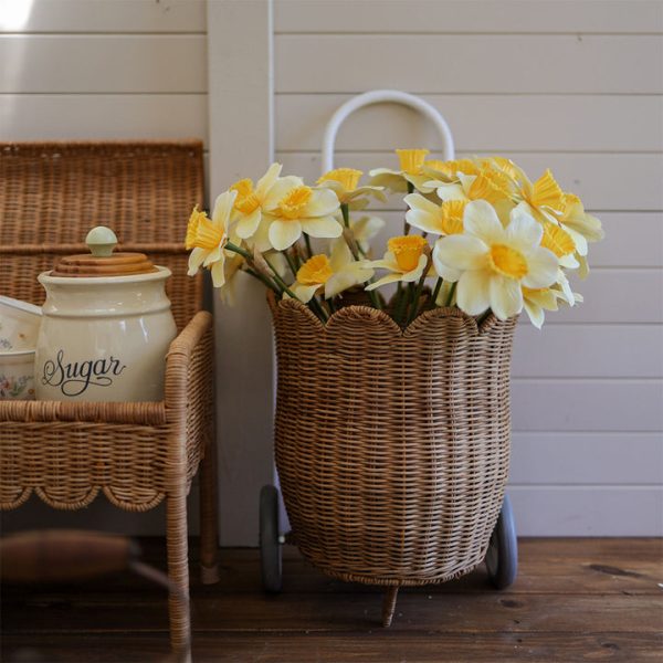 603bfe2c-3a3b-4dba-9a27-336bb05ac5d6_720x-2 603bfe2c-3a3b-4dba-9a27-336bb05ac5d6_720x-2