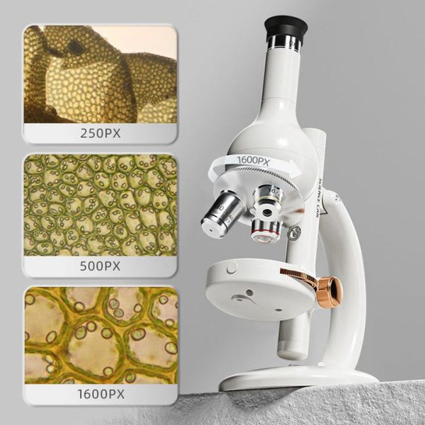 a89c8a54-7c17-4450-8b5f-a68d3fe48a79_720x a89c8a54-7c17-4450-8b5f-a68d3fe48a79_720x