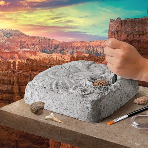 discovery-mindblown-stem-colossal-fossil-dig-set-32434812747863_720x-4 discovery-mindblown-stem-colossal-fossil-dig-set-32434812747863_720x-4