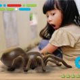 discovery-stem-remote-control-tarantula-spider-32434842861655_720x-1
