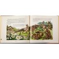 graphic-image-books-the-classic-tale-of-peter-rabbit-book-in-tan-bonded-leather-32343281991767_720x-3