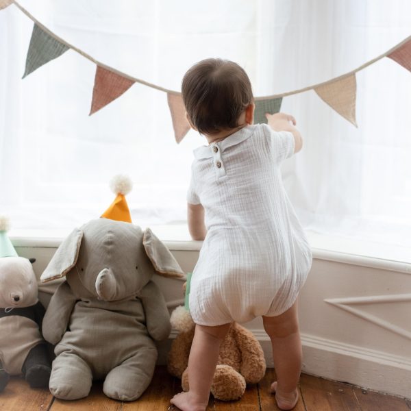 LY32587-ALT2.jpg LY32587-ALT2.jpg