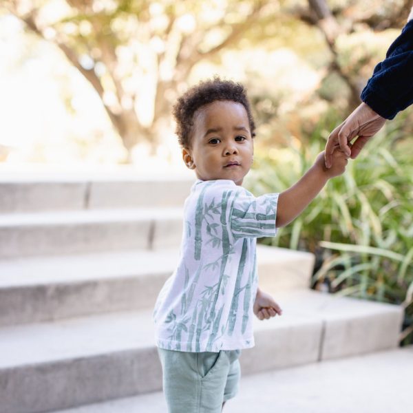 LY32633-ALT1.jpg LY32633-ALT1.jpg