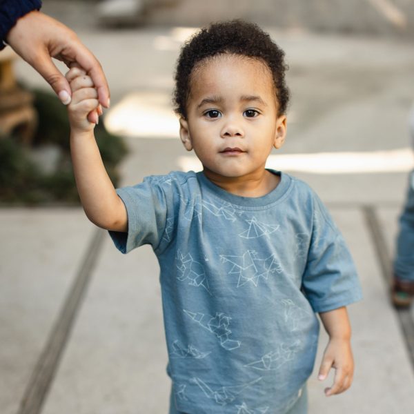 LY32634-ALT4.jpg LY32634-ALT4.jpg