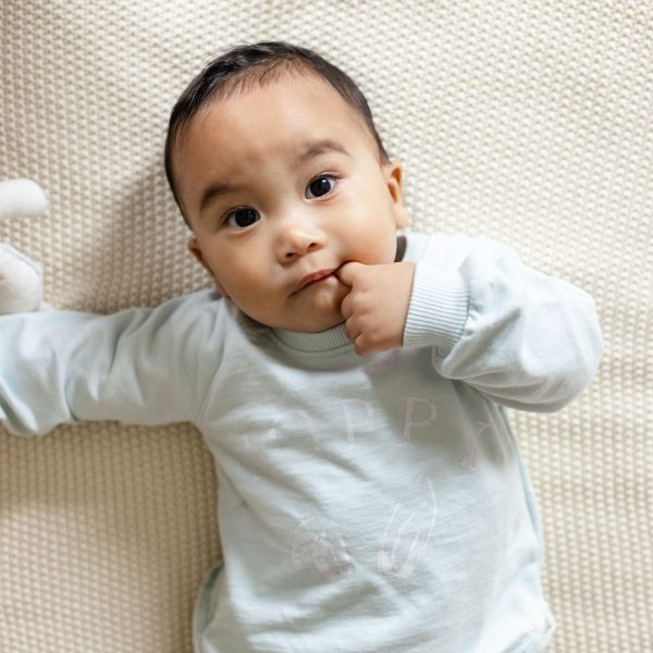 LY32668-BMS-ALT1.jpg LY32668-BMS-ALT1.jpg