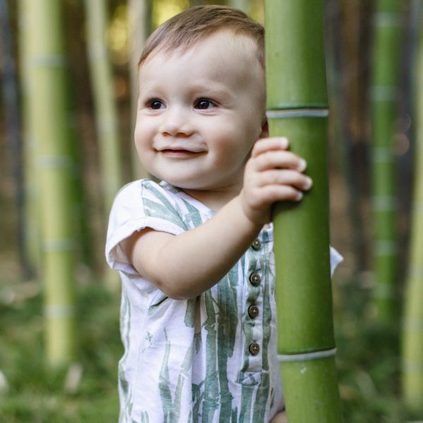 LY33150-ALT2.jpg LY33150-ALT2.jpg